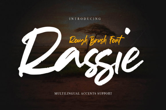 Rassie Font: A Display Typeface with Textured Elegance